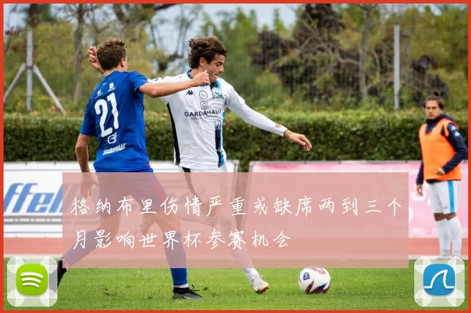 格纳布里伤情严重或缺席两到三个月影响世界杯参赛机会